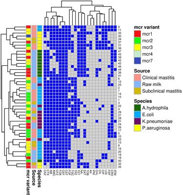 Virulence Determinants and Plasmid-Mediated Colistin Resistance mcr Genes in Gram-Negative Bacteria Isolated From Bovine Milk